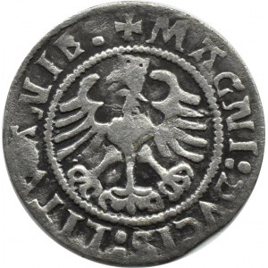 Sigismund I. der Alte, halber Pfennig 1523 (15Z3), Vilnius
