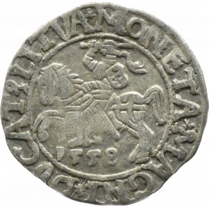 Sigismund II Augustus, half-penny 1558, Vilnius, LITVA/LI