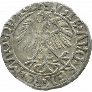 Sigismund II. Augustus, halber Pfennig 1558, Vilnius, LITVA/LI