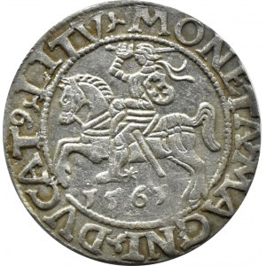 Sigismund II Augustus, halber Pfennig 1561, Vilnius, LITV/L, SEHR GUT