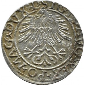 Zygmunt II August, półgrosz 1561, Wilno, LITV/L, BARDZO ŁADNY
