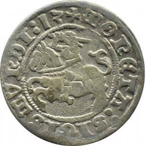 Sigismund I. der Alte, halber Pfennig 1513, Vilnius, abgekürztes Datum, VIERTER KREIS