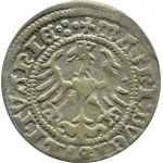 Sigismund I. der Alte, halber Pfennig 1513, Vilnius, abgekürztes Datum, VIERTER KREIS