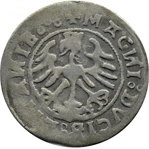 Sigismund I the Old, half-penny 1520, Vilnius, SIGISMVANDI - inverted letters N, FIFTEEN, RARE