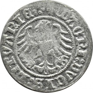 Sigismund I. der Alte, halber Pfennig 1510, Vilnius, VIERTES JAHRHUNDERT