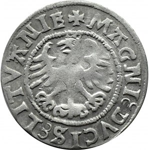 Sigismund I. der Alte, halber Pfennig 1525, Vilnius, SEHR RAR