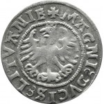 Sigismund I the Old, half-penny 1525, Vilnius, VERY RARE HALF-PENNY
