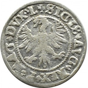 Sigismund II Augustus, half-penny 1546, Vilnius