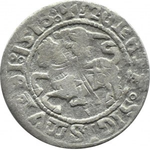 Sigismund I. der Alte, halber Pfennig 1518, Vilnius