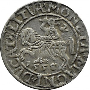 Sigismund II Augustus, half-penny 1558, Vilnius, LITVA/LI, letters A without bars