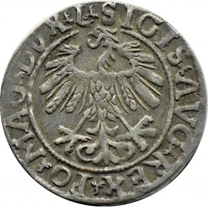 Zygmunt II August, półgrosz 1558, Wilno, LITVA/LI, litery A bez belek