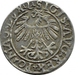 Zygmunt II August, półgrosz 1558, Wilno, LITVA/LI, litery A bez belek