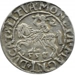 Sigismund II Augustus, halber Pfennig 1558, Vilnius, LITVA/LI, Buchstaben A ohne Balken