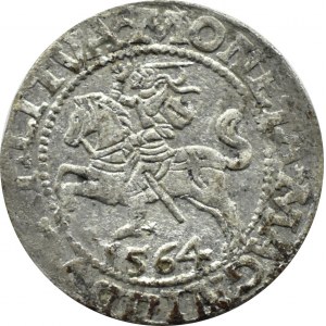 Sigismund II Augustus, half-penny 1564, Vilnius