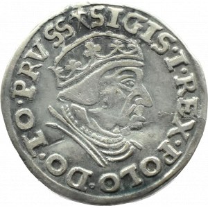 Sigismund I. der Alte, Trojak 1539, Danzig