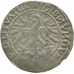 Sigismund I. der Alte, Pfennig 1535, Vilnius