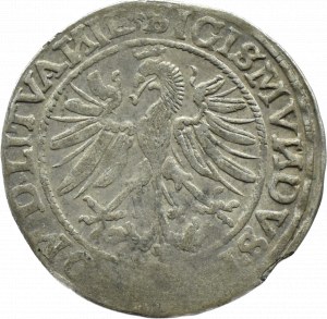 Zygmunt I Stary, grosz 1535, Wilno