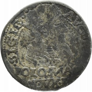 Sigismund II Augustus, Lithuanian penny per Polish foot, 1567, Tykocin