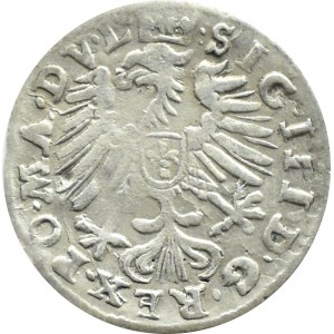Zygmunt III Waza, grosz 1609, Wilno, końcówki LI/L