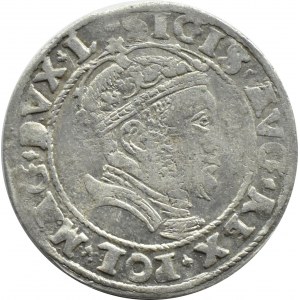 Zygmunt II August, grosz litewski na stopę litewską, 1546, Wilno, RZADKI