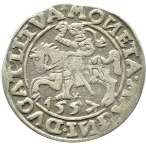 Sigismund II. Augustus, halber Pfennig 1557 KWIATEK, Vilnius, GANZ