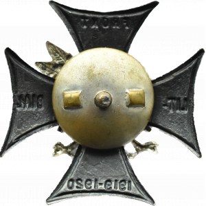 Polska, II RP, Odznaka Pamiątkowa Frontu Litewsko-Białoruskiego 1919-1920, piękna!