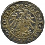 Sigismund I the Old, penny 1535, Elblag, very nice!