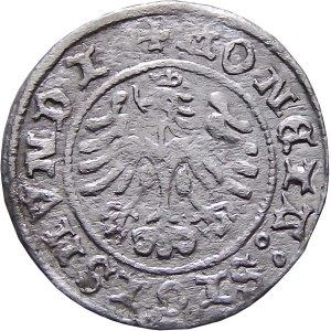 Sigismund I the Old, 1507 crown half-penny, Cracow