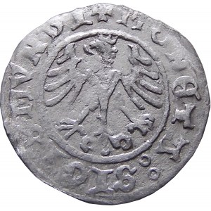 Sigismund I. der Alte, Kronen-Halbpfennig 1511, Krakau