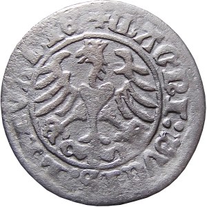Sigismund I the Old, half-penny 1510, Vilnius