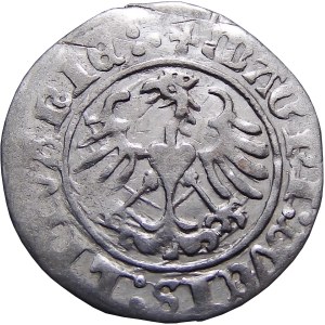 Sigismund I. der Alte, halber Pfennig 1513, Wilna, RAR UND SCHÖN