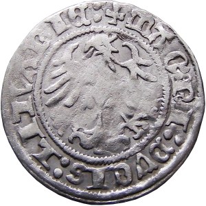 Sigismund I the Old, half-penny 1518 MONTEA, Vilnius, RARE (12)