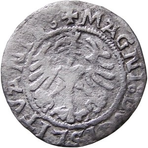 Sigismund I the Old, half-penny 1521, Vilnius, SIGISMVND