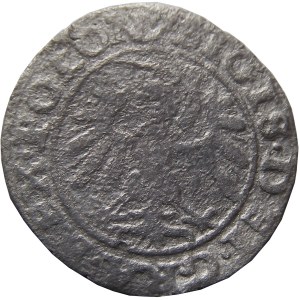 Sigismund I the Old, city shilling 1540 POLON, Gdańsk