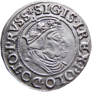 Sigismund I. der Alte, Pfennig 1538 PRVSS, Gdańsk, MENNY