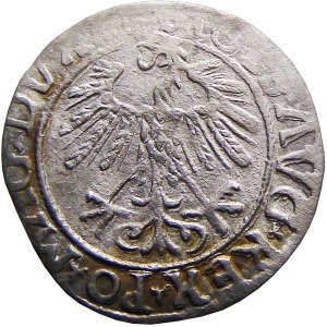 Sigismund II Augustus, halber Pfennig 1558, Vilnius, RARE
