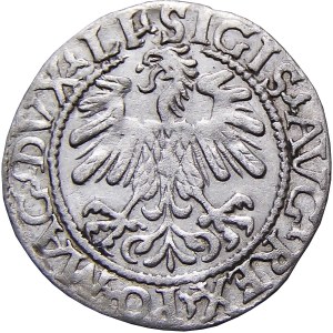 Sigismund II Augustus, half-penny 1559, Vilnius, WHEREAS