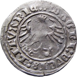 Zygmunt I Stary, półgrosz 1511, Wilno, BARDZO ŁADNY