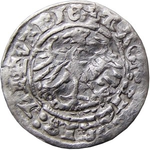 Sigismund I. der Alte, halber Pfennig 1513, Vilnius, GANZE ZERSTÖRUNG
