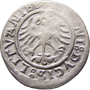 Sigismund I the Old, half-penny 1521, Vilnius, VERY RARE