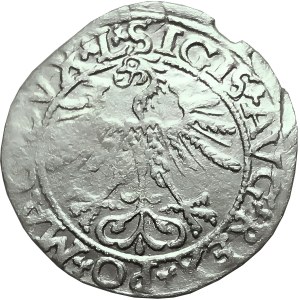Sigismund II. Augustus, halber Pfennig 1561, Vilnius