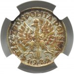 Polska, II RP, Kłosy, 1 złoty 1925, Londyn, NGC AU58