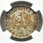 Polska, II RP, Kłosy, 1 złoty 1925, Londyn, NGC AU58