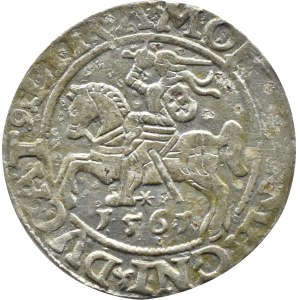 Sigismund II. Augustus, halber Pfennig 1561, Vilnius, LITV/L