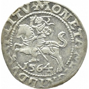 Sigismund II. Augustus, halber Pfennig 1564, Vilnius, Axt, LITV/L