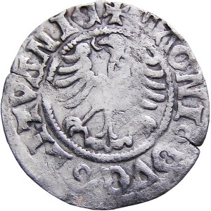 Alexander Jagiellon, Lithuanian half-penny, Vilnius