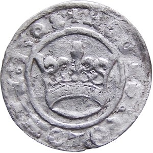 Sigismund I. der Alte, Kronen-Halbpfennig 1508, Krakau