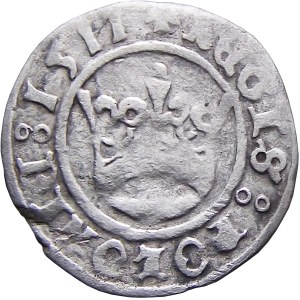 Sigismund I. der Alte, Kronen-Halbpfennig 1511, Krakau