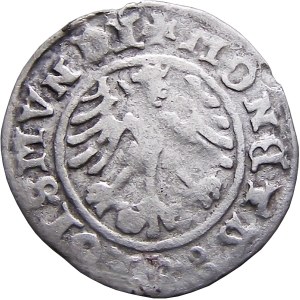 Sigismund I. der Alte, Kronen-Halbpfennig 1511, Krakau