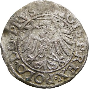 Sigismund I the Old, city shilling 1539, Elblag, BEAUTIFUL